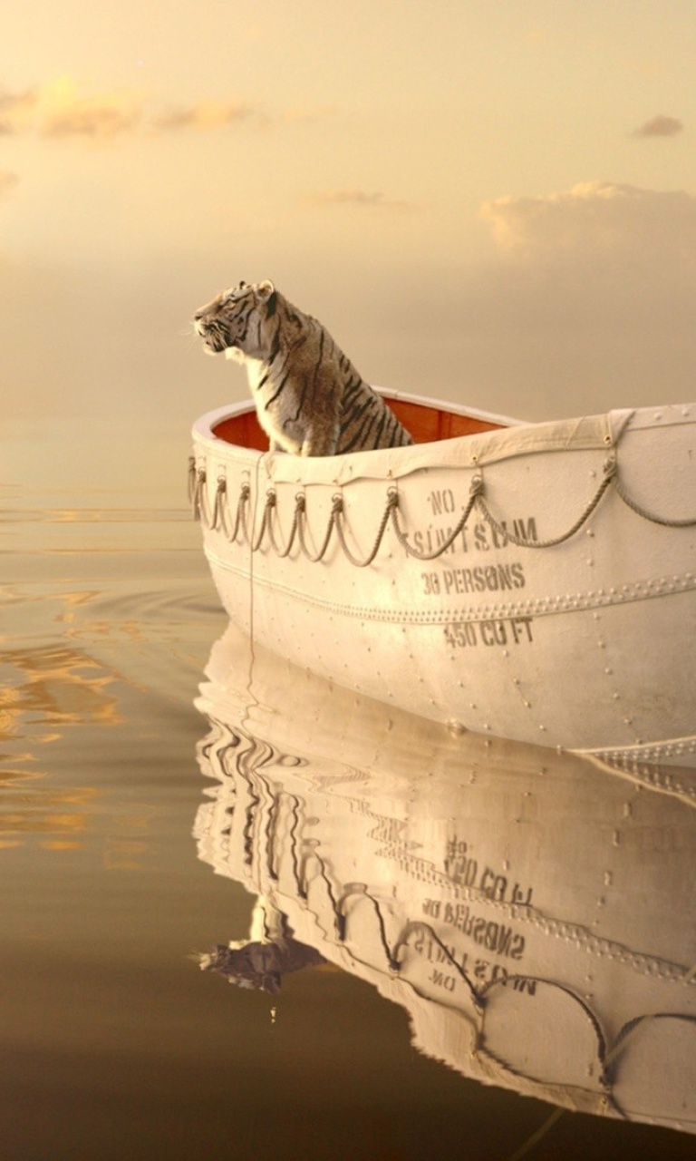 Life Of Pi wallpaper 768x1280