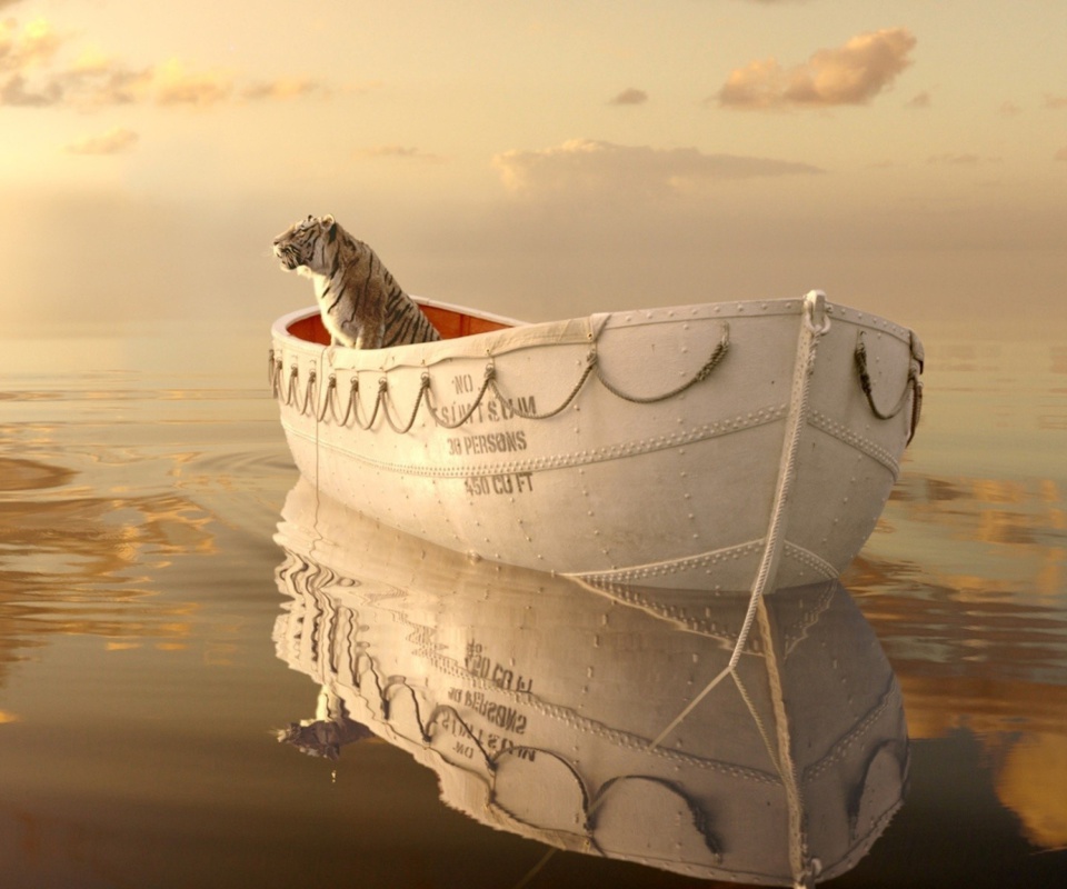 Sfondi Life Of Pi 960x800