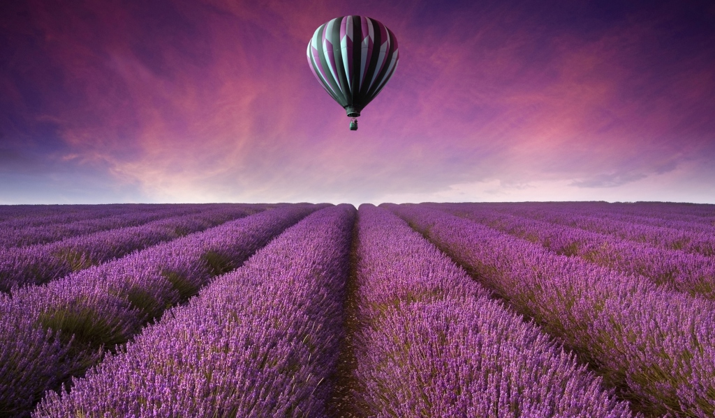 Screenshot №1 pro téma Air Balloon Above Lavender Field 1024x600