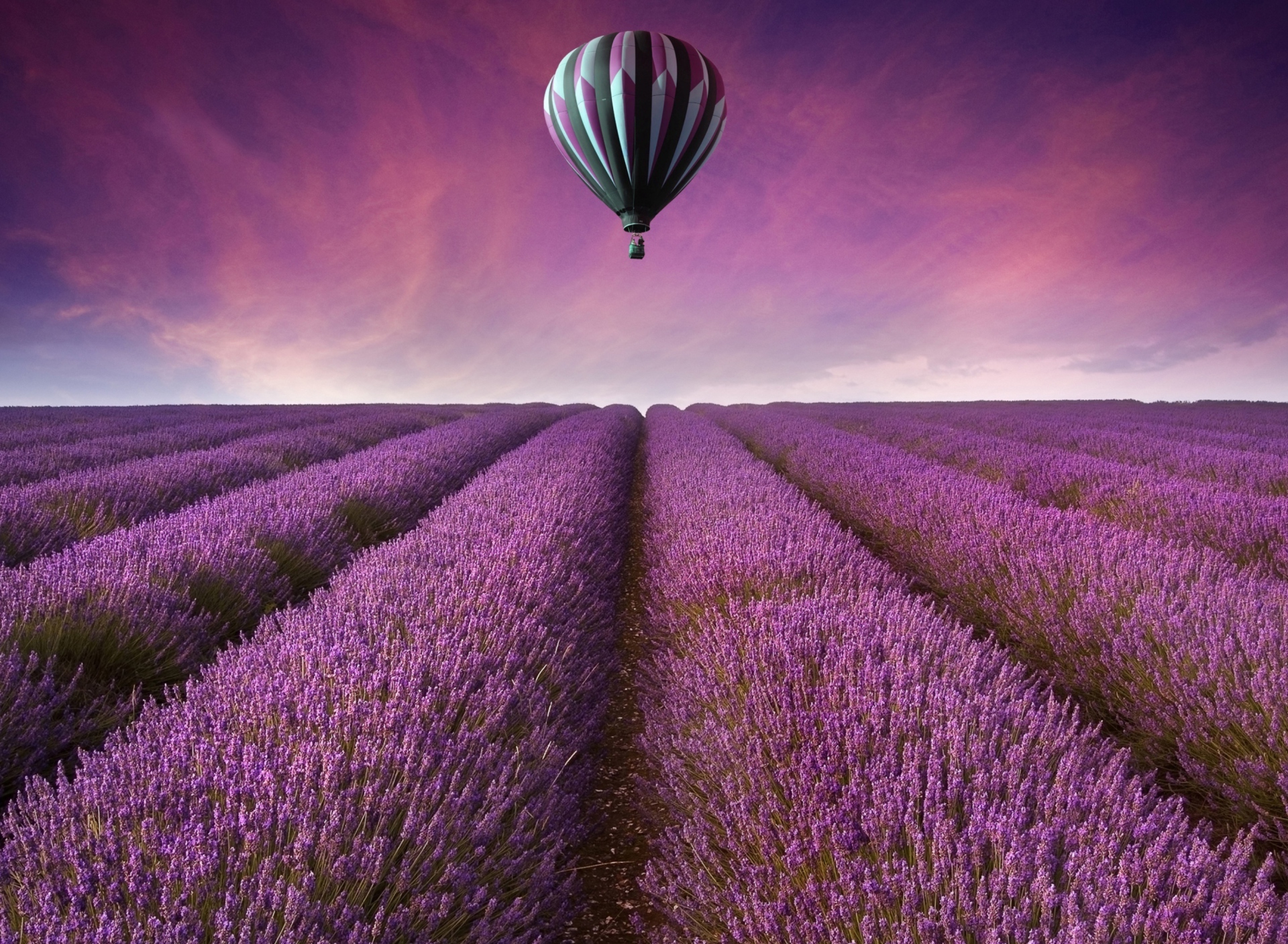 Air Balloon Above Lavender Field wallpaper 1920x1408