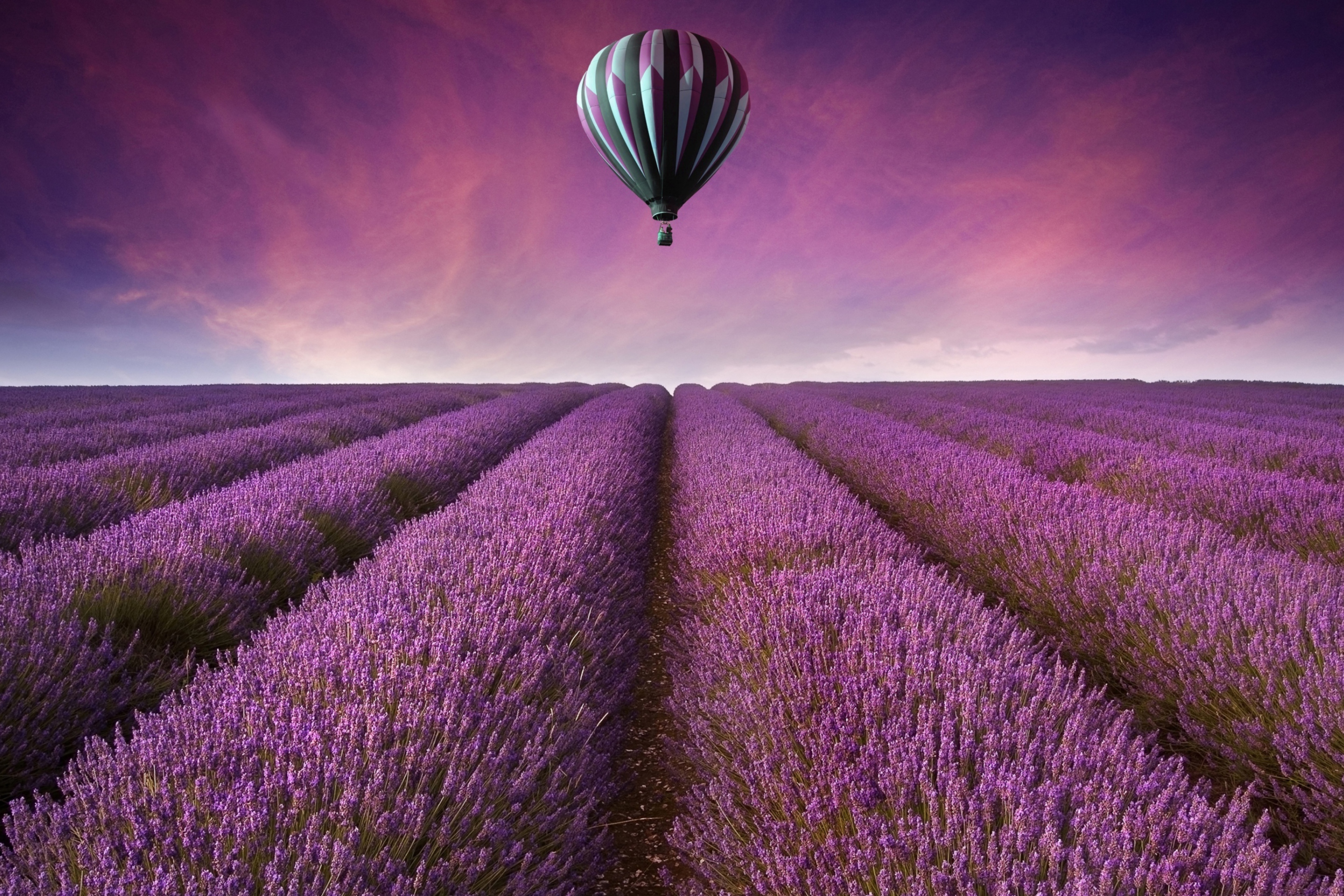 Обои Air Balloon Above Lavender Field 2880x1920