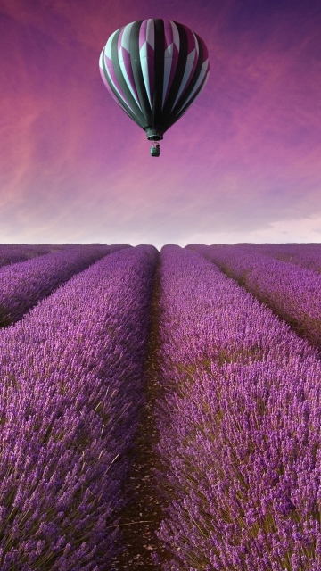 Air Balloon Above Lavender Field wallpaper 360x640