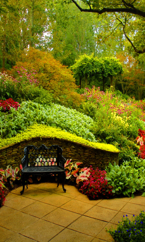 Das Secret Garden In China Wallpaper 480x800