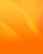 Warm orange petals wallpaper 176x220