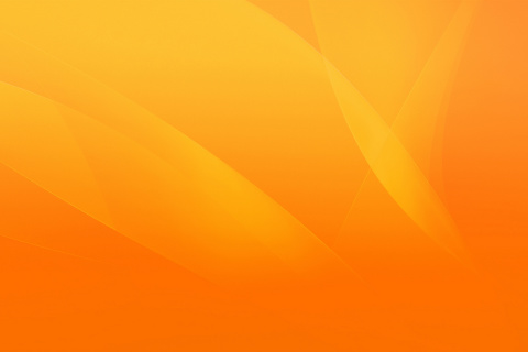 Das Warm orange petals Wallpaper 480x320