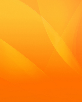 Warm orange petals - Obrázkek zdarma pro Nokia C2-02