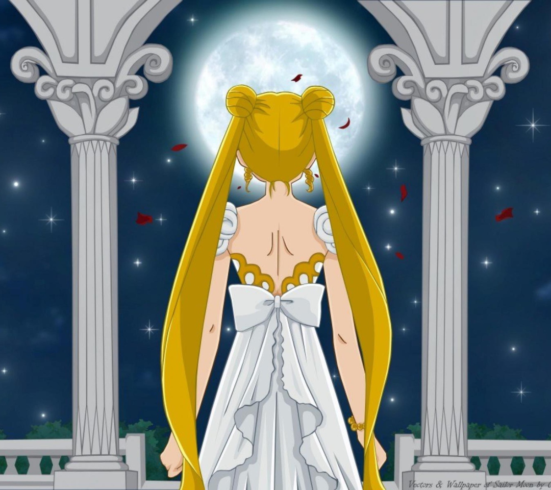 Screenshot №1 pro téma Sailormoon 1080x960