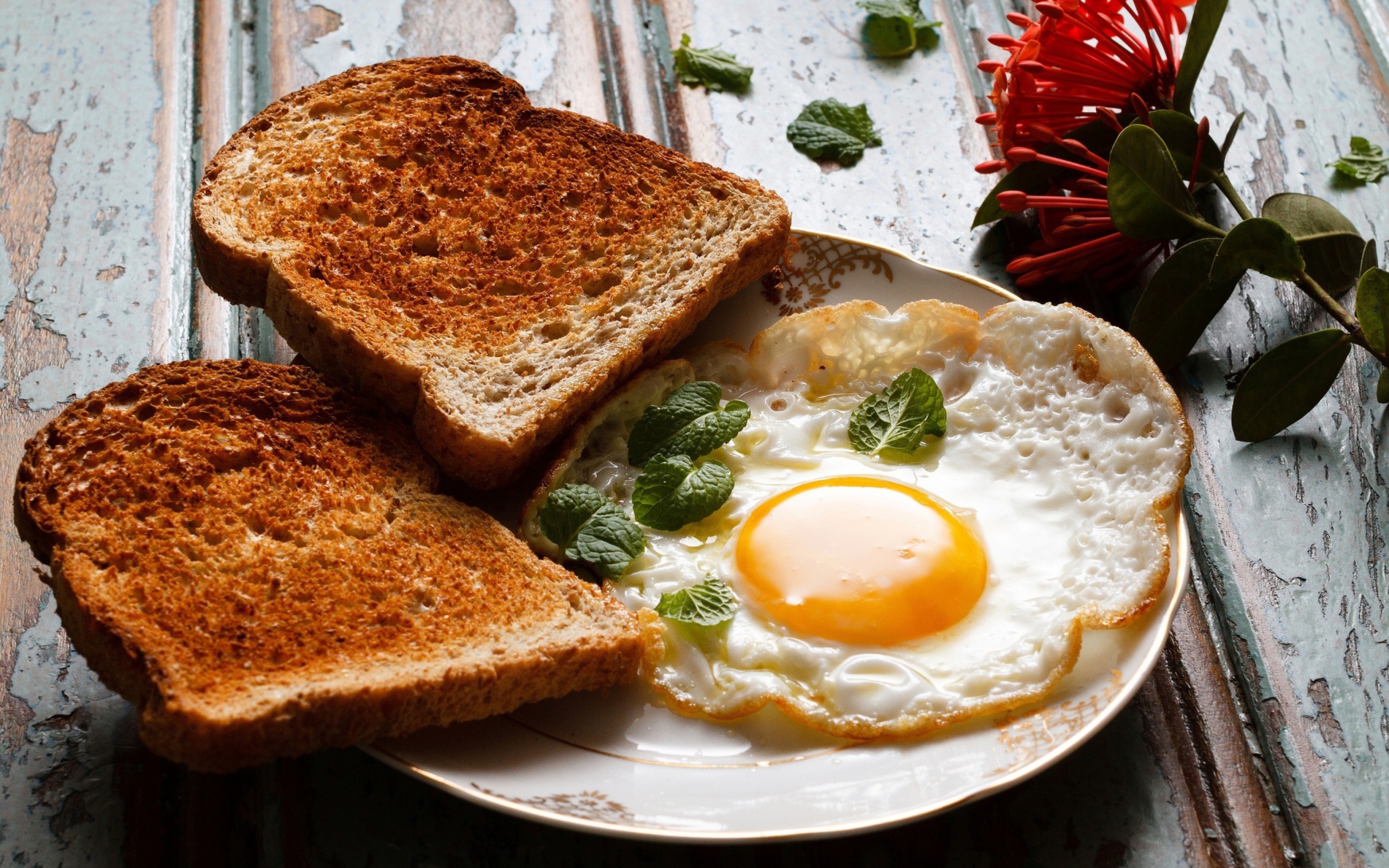 Breakfast eggs and toast wallpaper 2560x1600