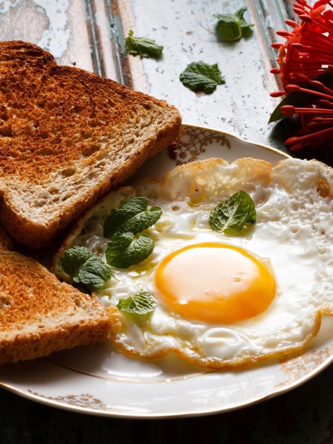 Breakfast eggs and toast wallpaper 480x640