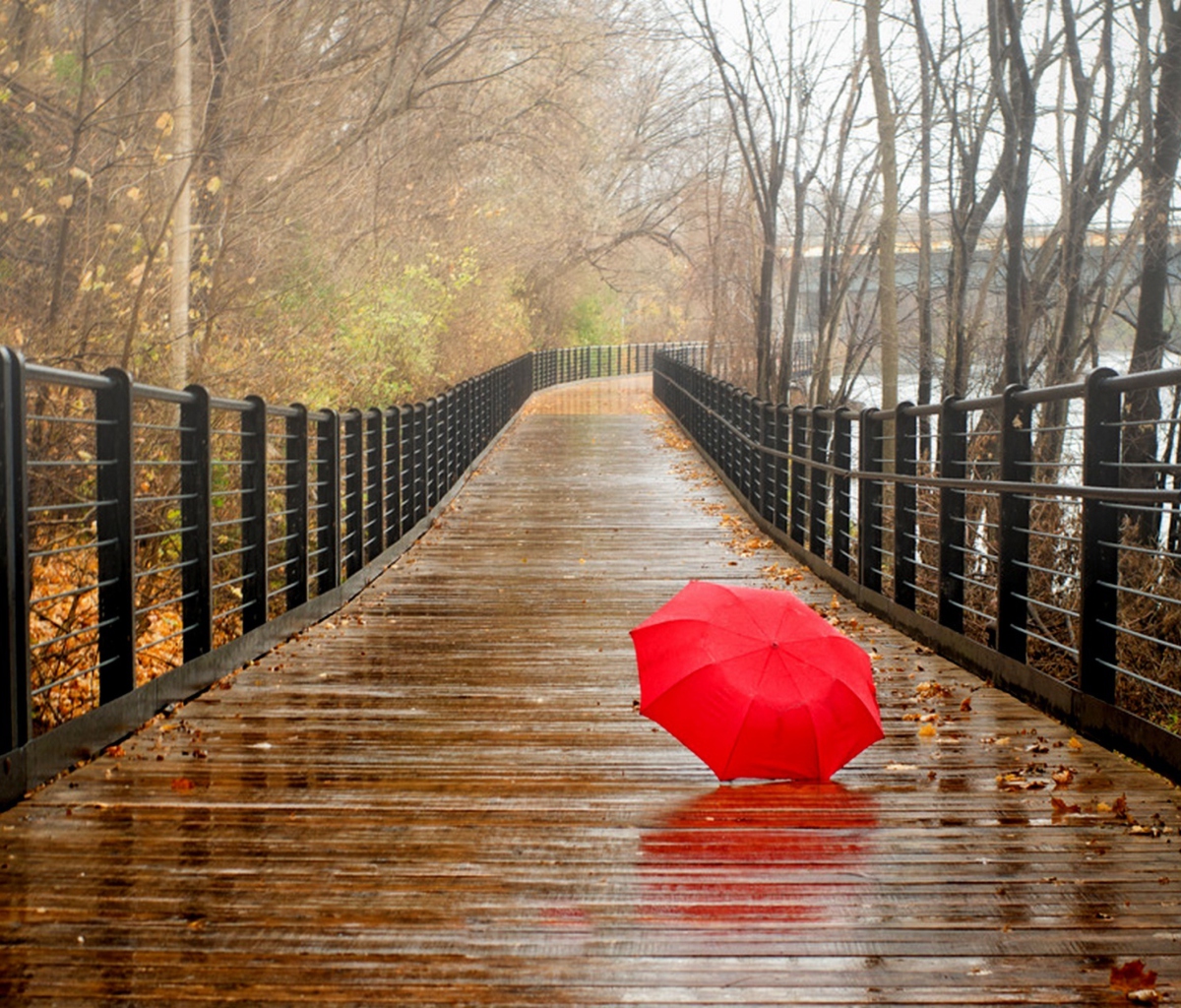 Das Red Umbrella In Rainy Day Wallpaper 1200x1024