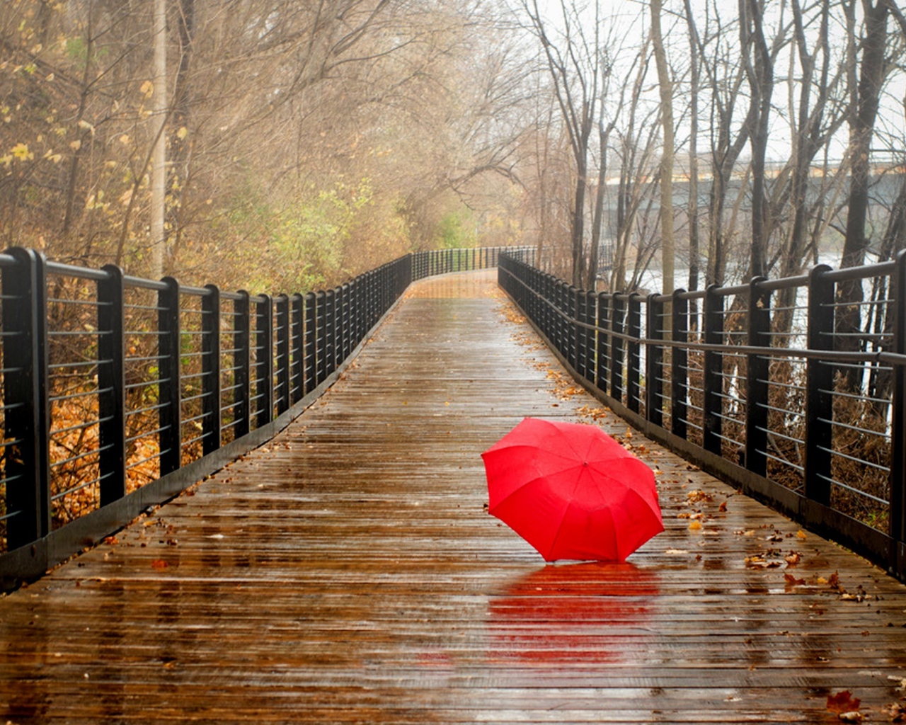 Fondo de pantalla Red Umbrella In Rainy Day 1280x1024