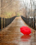 Red Umbrella In Rainy Day wallpaper 128x160