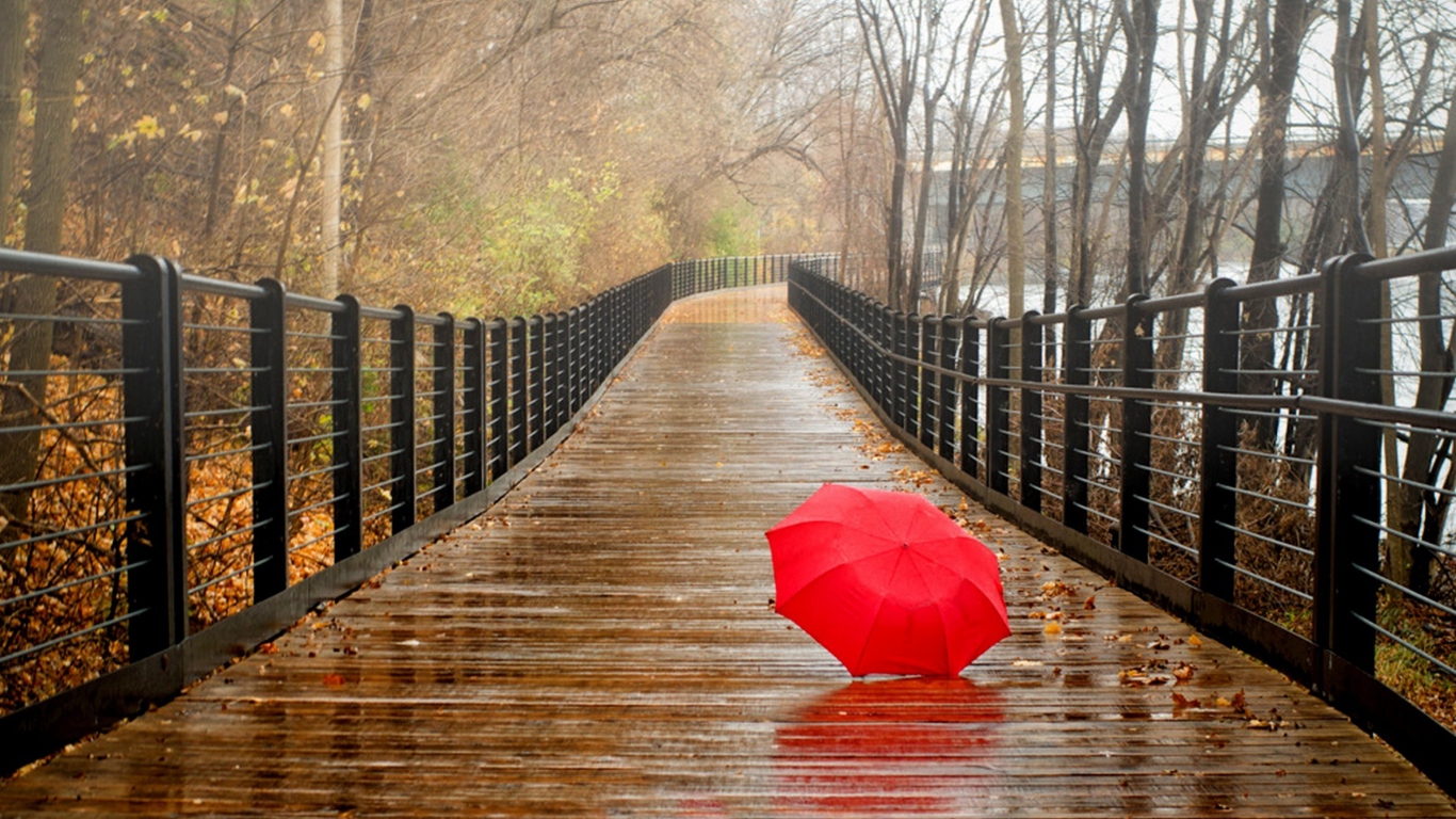Fondo de pantalla Red Umbrella In Rainy Day 1366x768