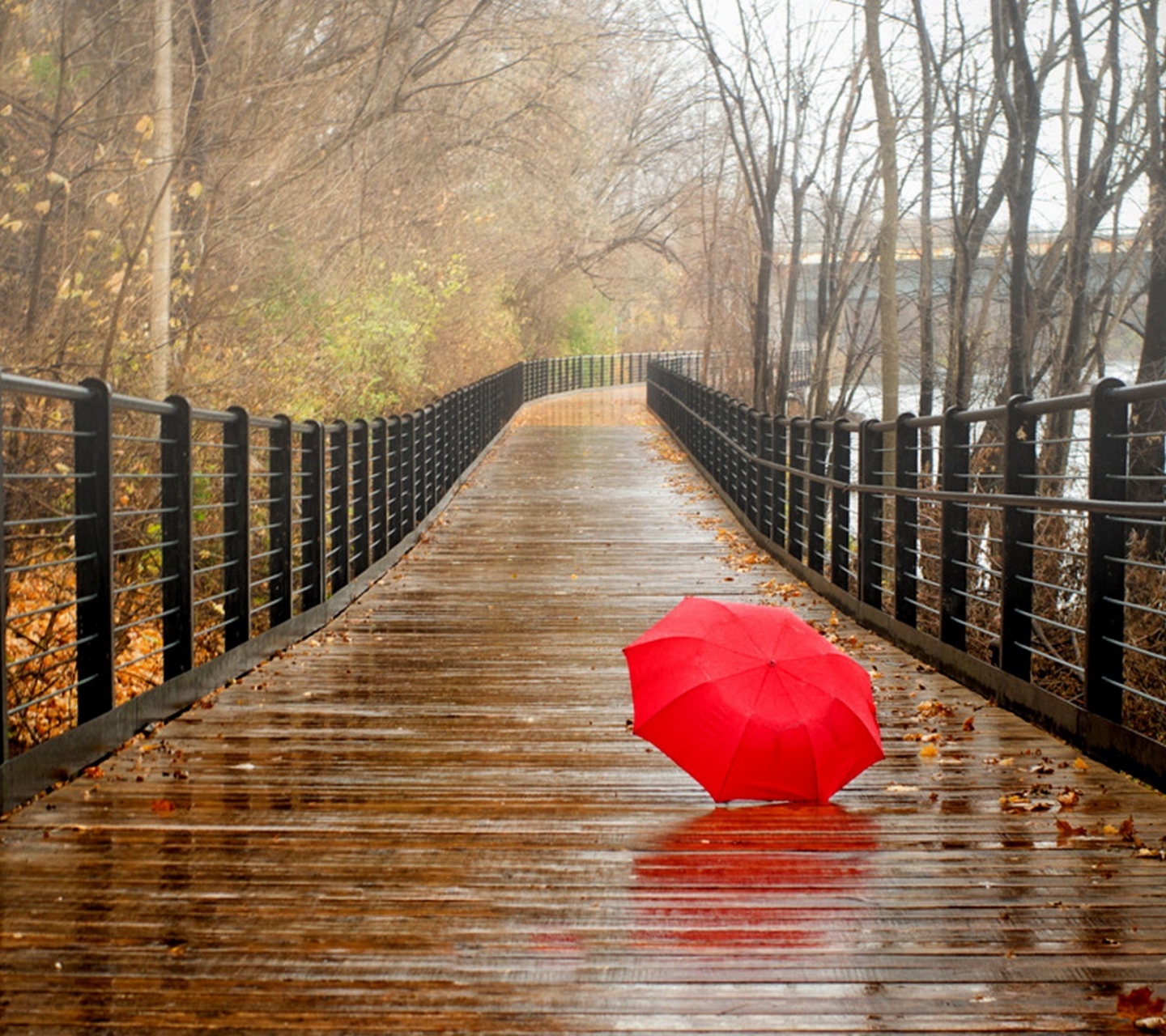 Обои Red Umbrella In Rainy Day 1440x1280