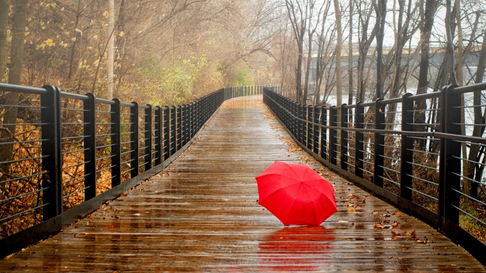 Red Umbrella In Rainy Day screenshot #1 1600x900