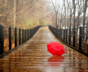 Das Red Umbrella In Rainy Day Wallpaper 176x144