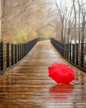 Das Red Umbrella In Rainy Day Wallpaper 176x220