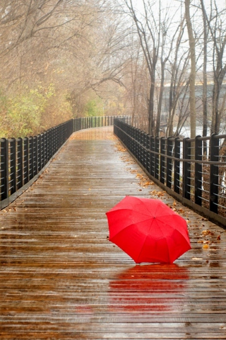 Sfondi Red Umbrella In Rainy Day 320x480