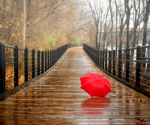 Fondo de pantalla Red Umbrella In Rainy Day 480x400