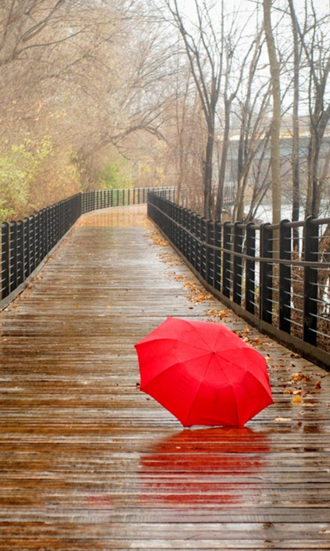 Обои Red Umbrella In Rainy Day 480x800