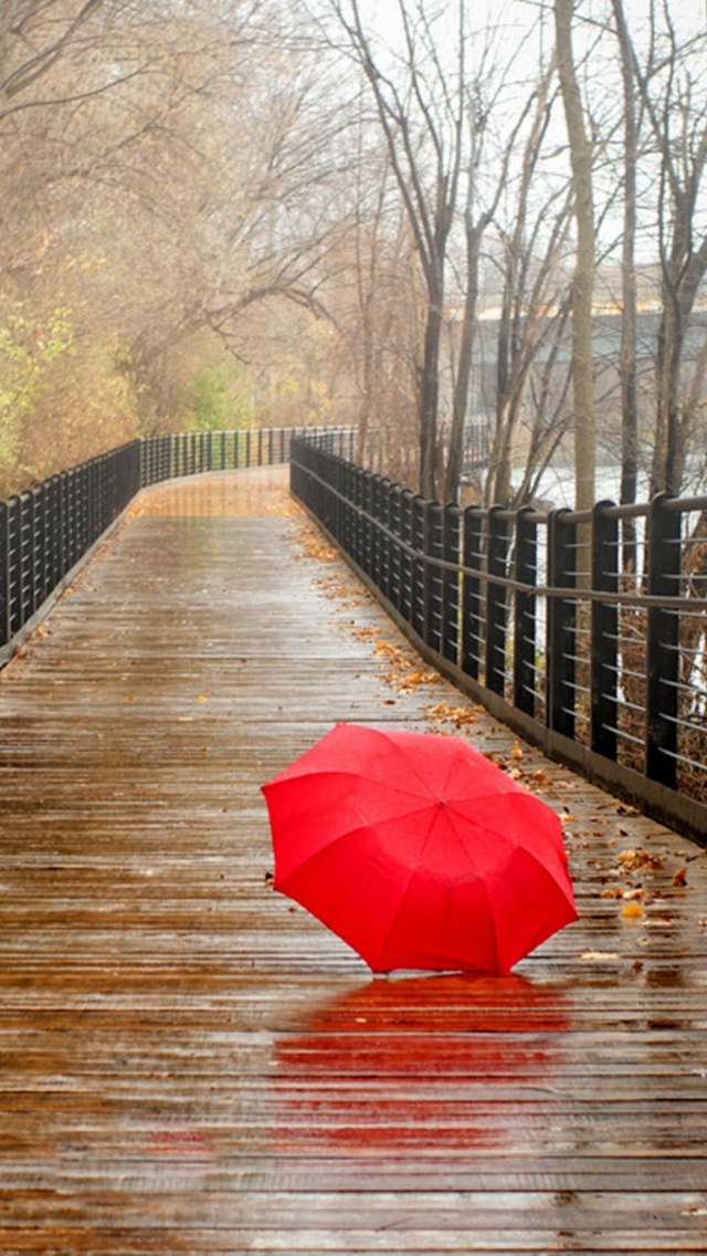 Sfondi Red Umbrella In Rainy Day 640x1136