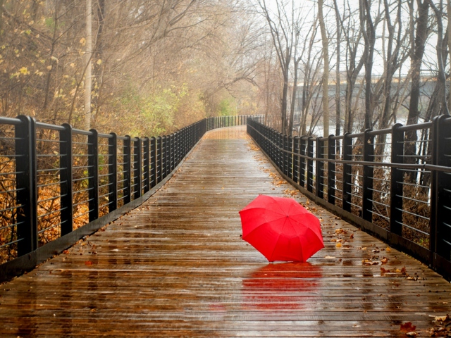 Das Red Umbrella In Rainy Day Wallpaper 640x480