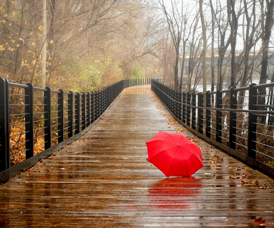 Обои Red Umbrella In Rainy Day 960x800