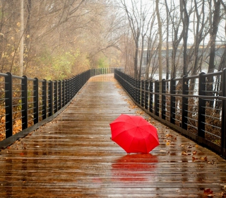 Kostenloses Red Umbrella In Rainy Day Wallpaper für 208x208