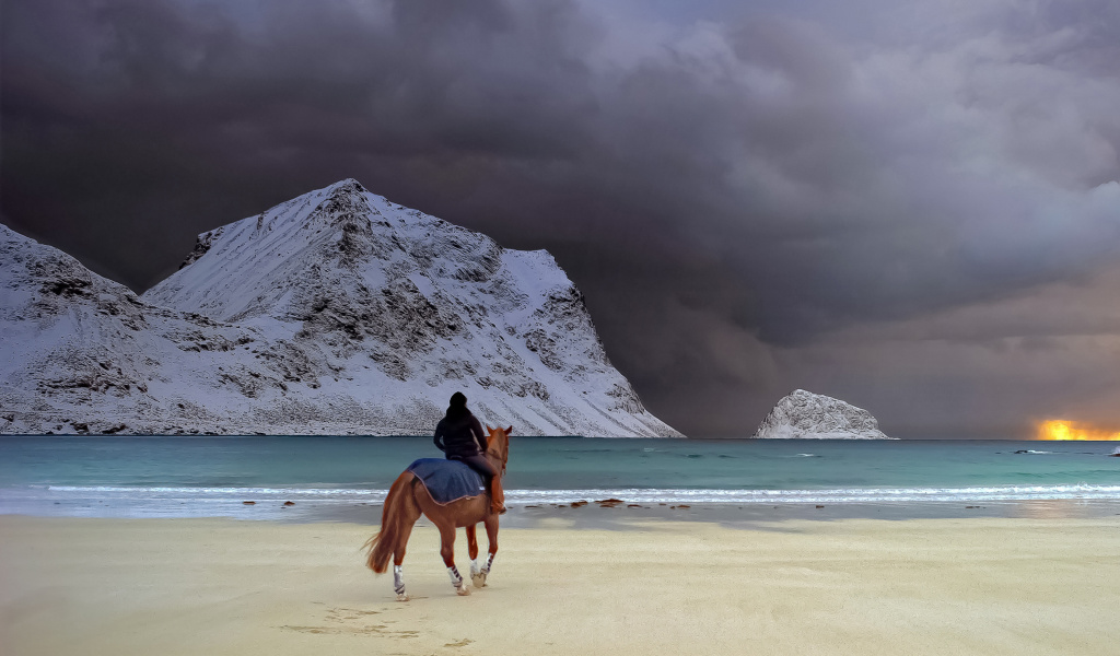 Screenshot №1 pro téma Horse on beach 1024x600