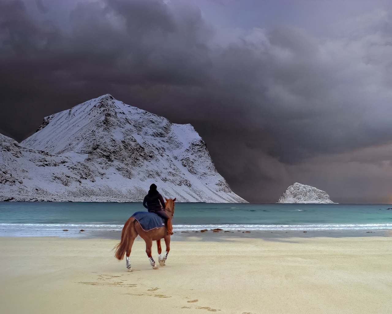 Horse on beach wallpaper 1280x1024