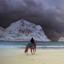 Fondo de pantalla Horse on beach 128x128