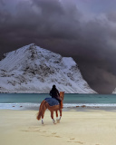 Sfondi Horse on beach 128x160