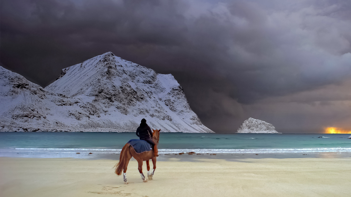 Обои Horse on beach 1366x768