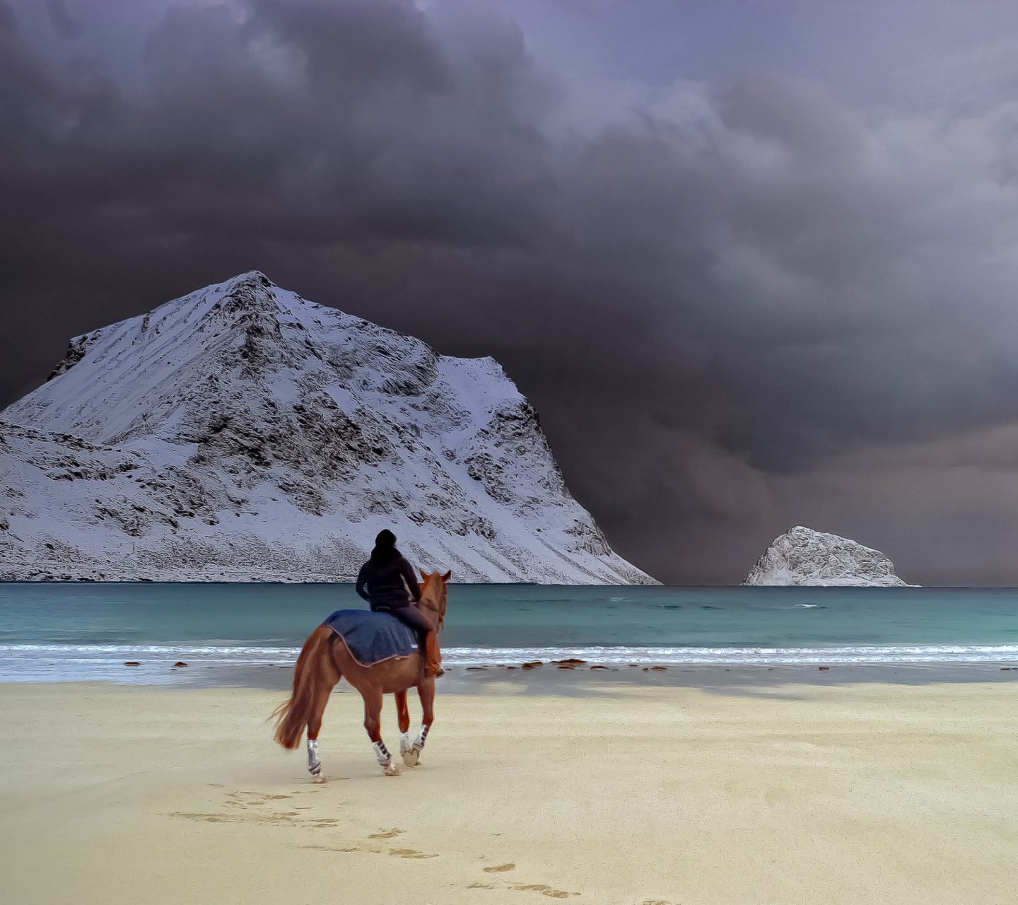 Fondo de pantalla Horse on beach 1440x1280