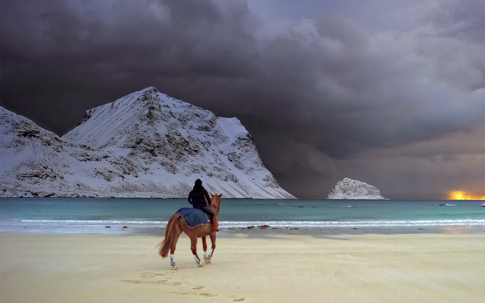 Fondo de pantalla Horse on beach 1680x1050