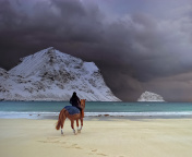 Das Horse on beach Wallpaper 176x144