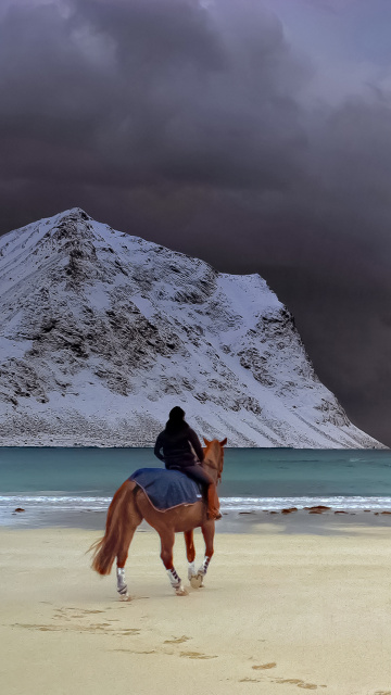 Horse on beach wallpaper 360x640