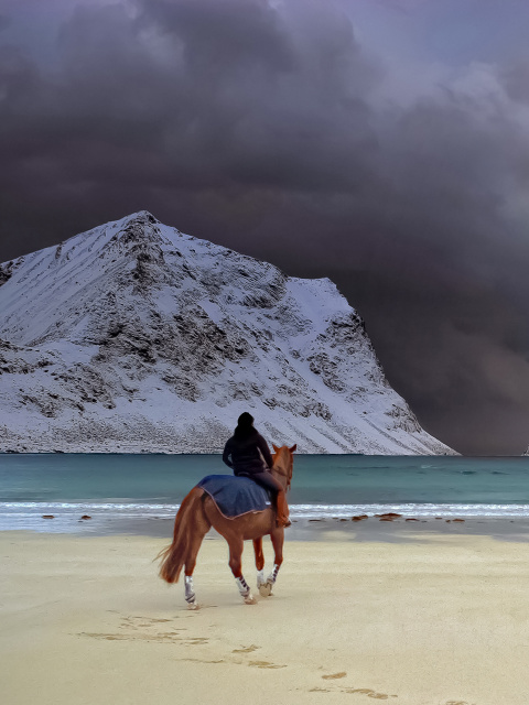 Horse on beach screenshot #1 480x640