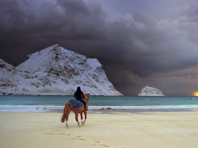 Horse on beach wallpaper 640x480