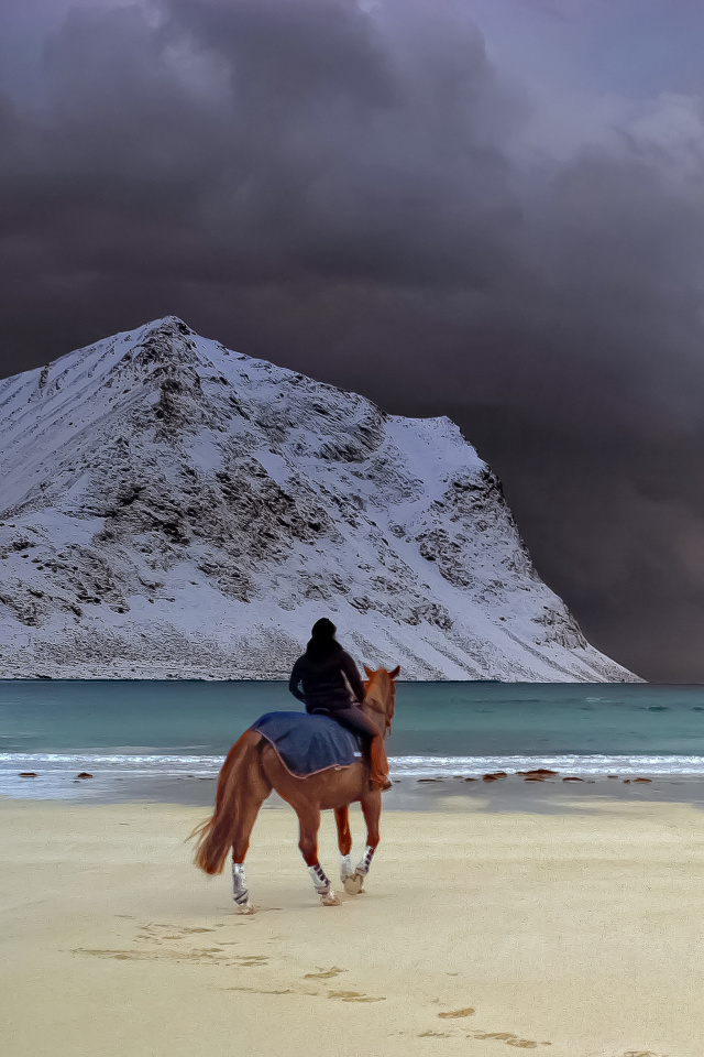 Fondo de pantalla Horse on beach 640x960