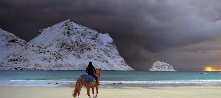 Horse on beach wallpaper 720x320