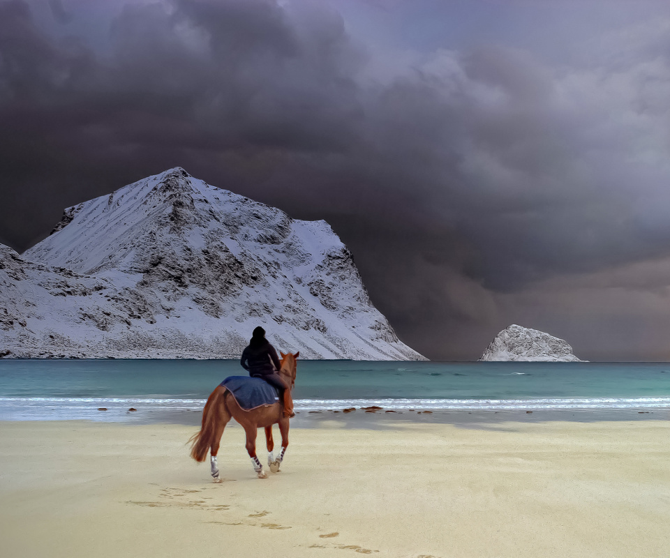 Horse on beach wallpaper 960x800