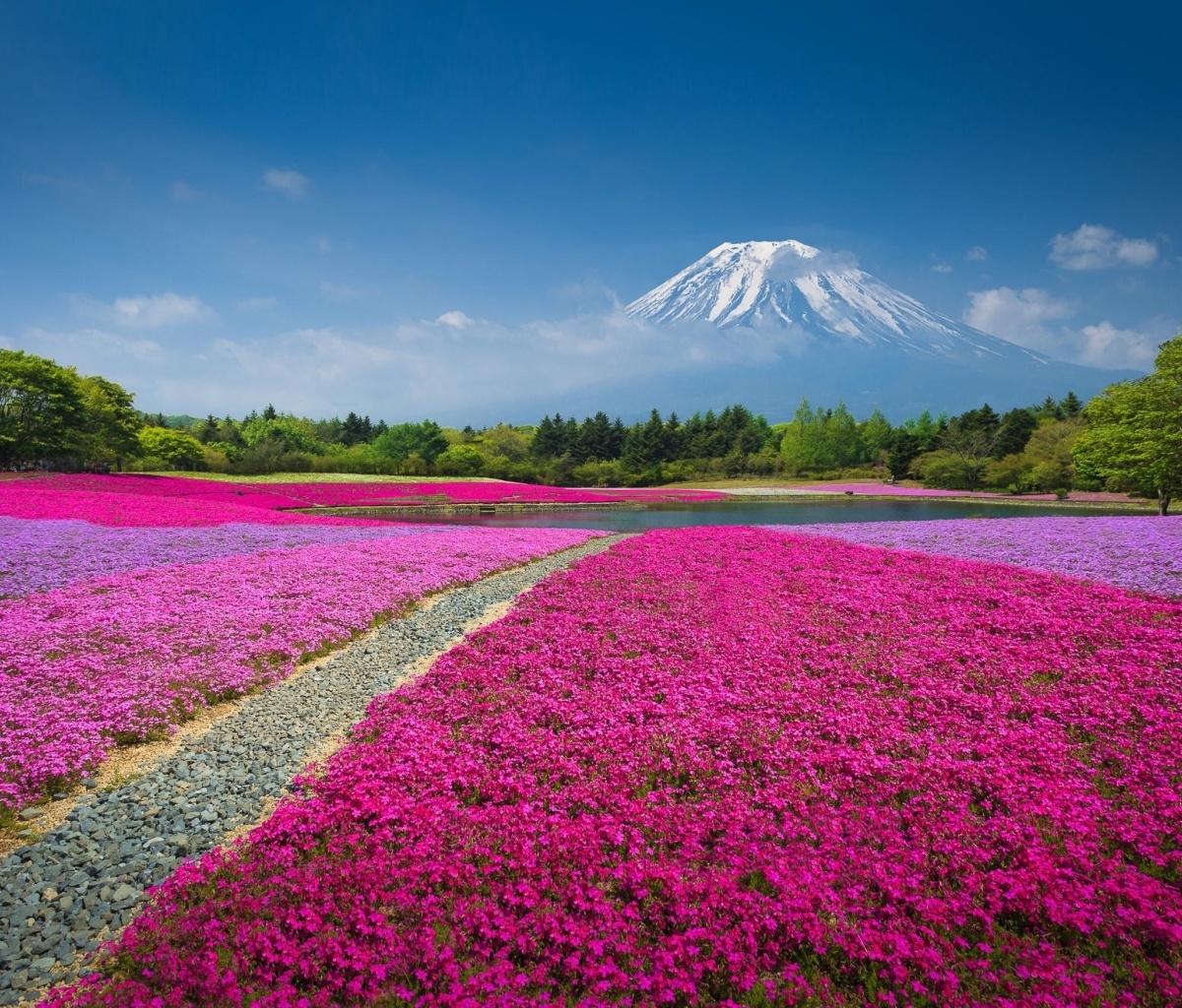 Обои Japanese volcano in spring 1200x1024