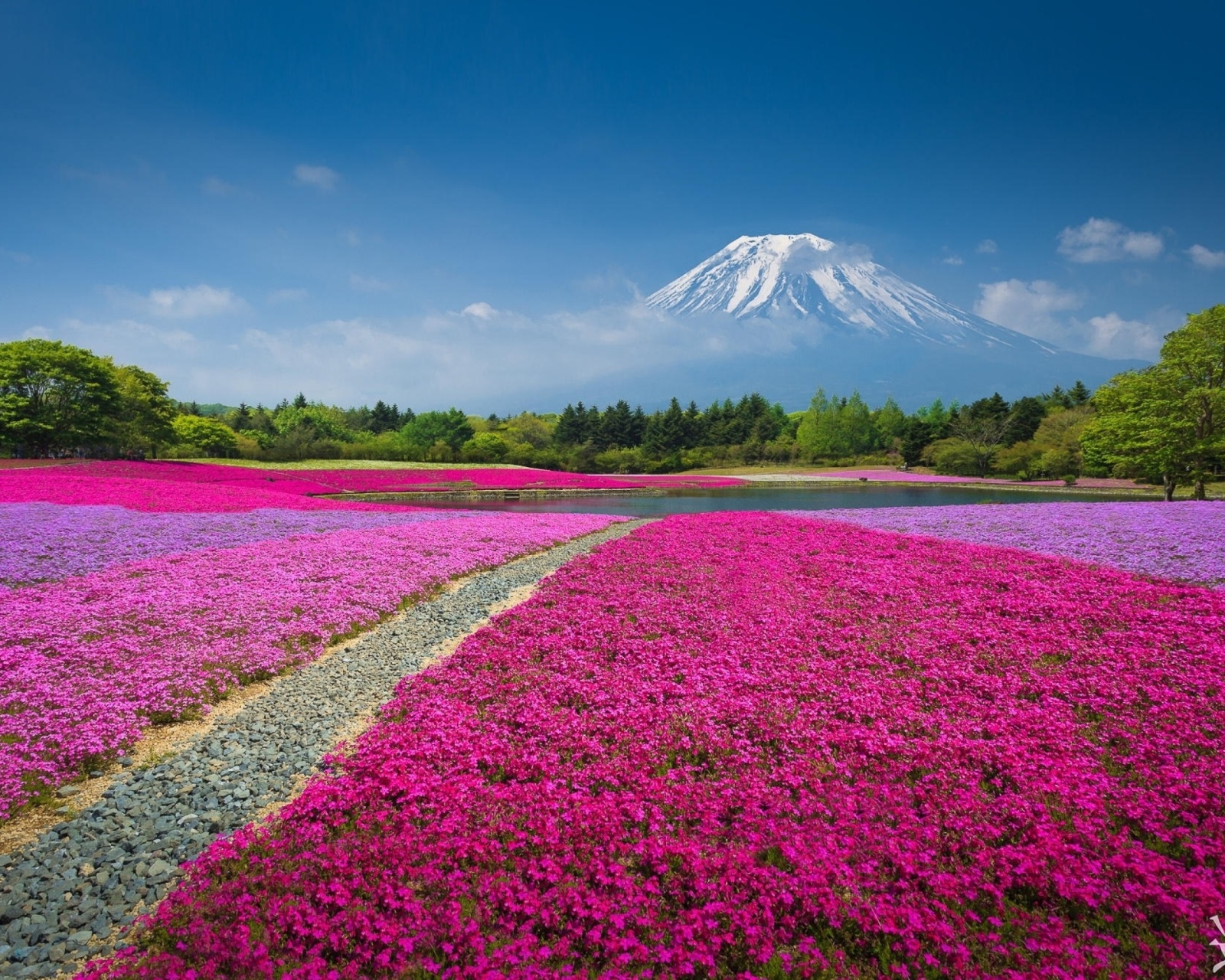 Fondo de pantalla Japanese volcano in spring 1600x1280