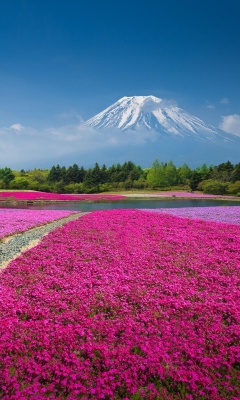 Japanese volcano in spring screenshot #1 240x400