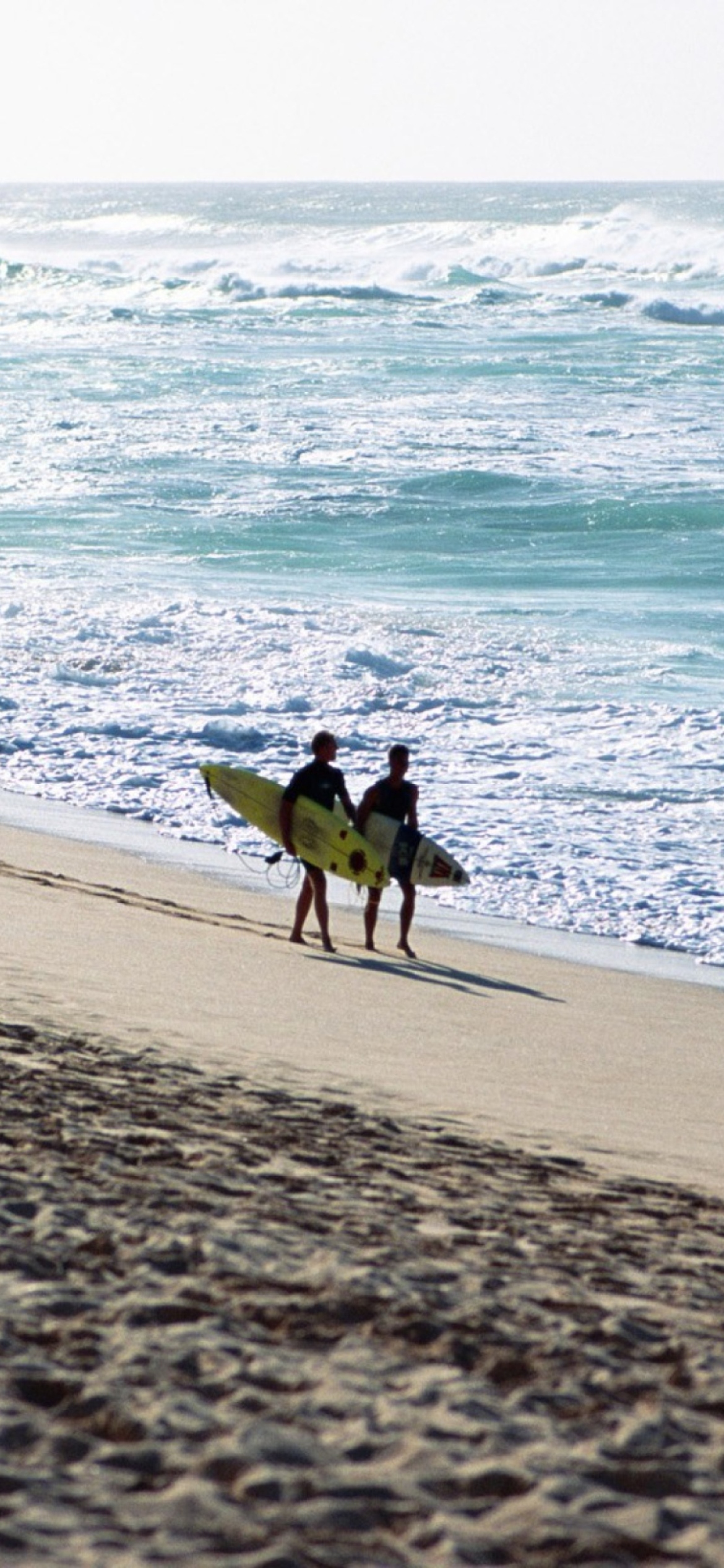 Das Summer Surfing Wallpaper 1170x2532
