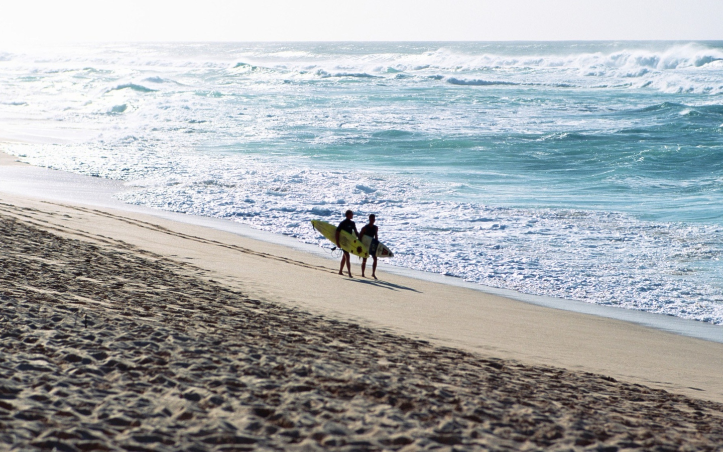 Обои Summer Surfing 1440x900