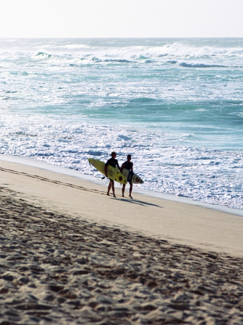 Das Summer Surfing Wallpaper 480x640