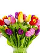 Screenshot №1 pro téma Tulips Bouquet 132x176