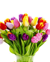 Tulips Bouquet screenshot #1 176x220